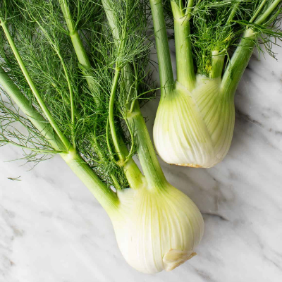 Fennel