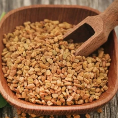 Fenugreek