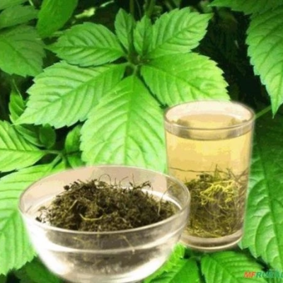 Gynostemma Pentaphyllium​