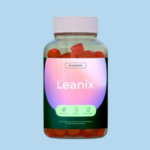 Leanix